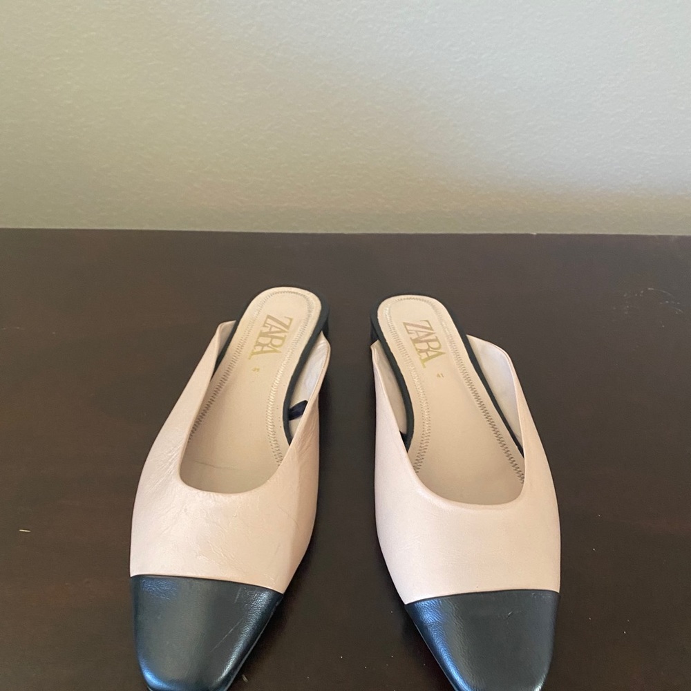 Zara slip on shoes.